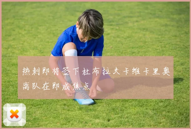 热刺即将签下杜布拉夫卡维卡里奥离队在即成焦点